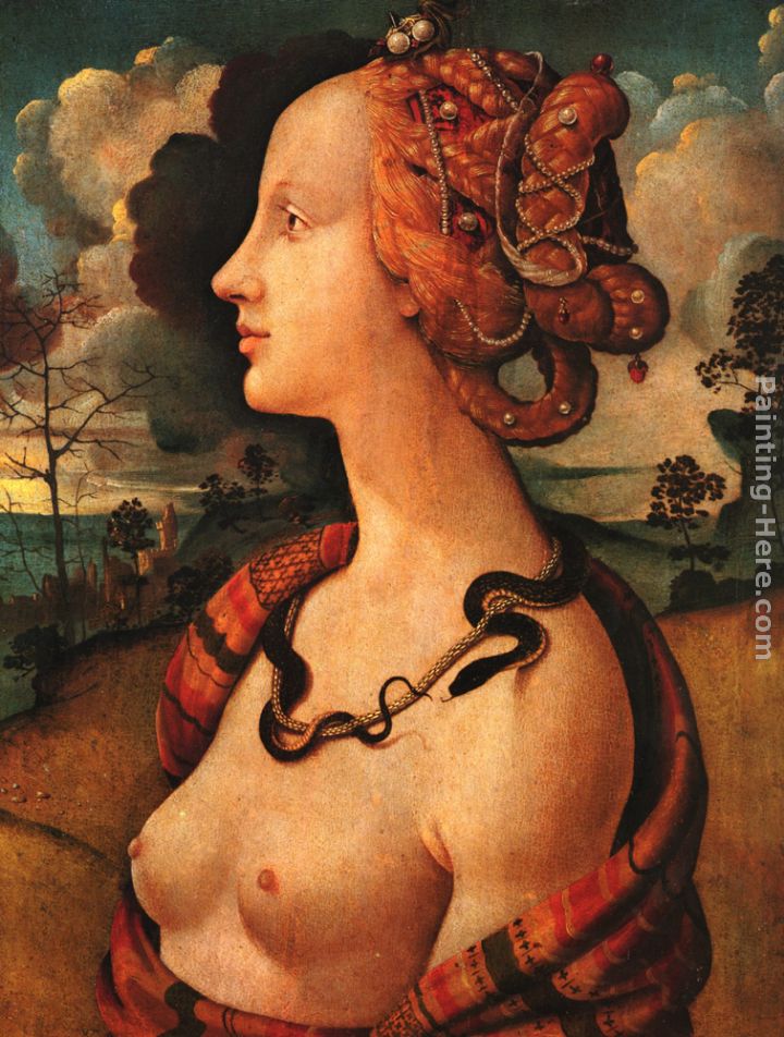 Portrait of Simonetta Vespucci painting - Piero di Cosimo Portrait of Simonetta Vespucci art painting
